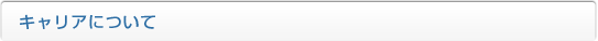 キャリアについて